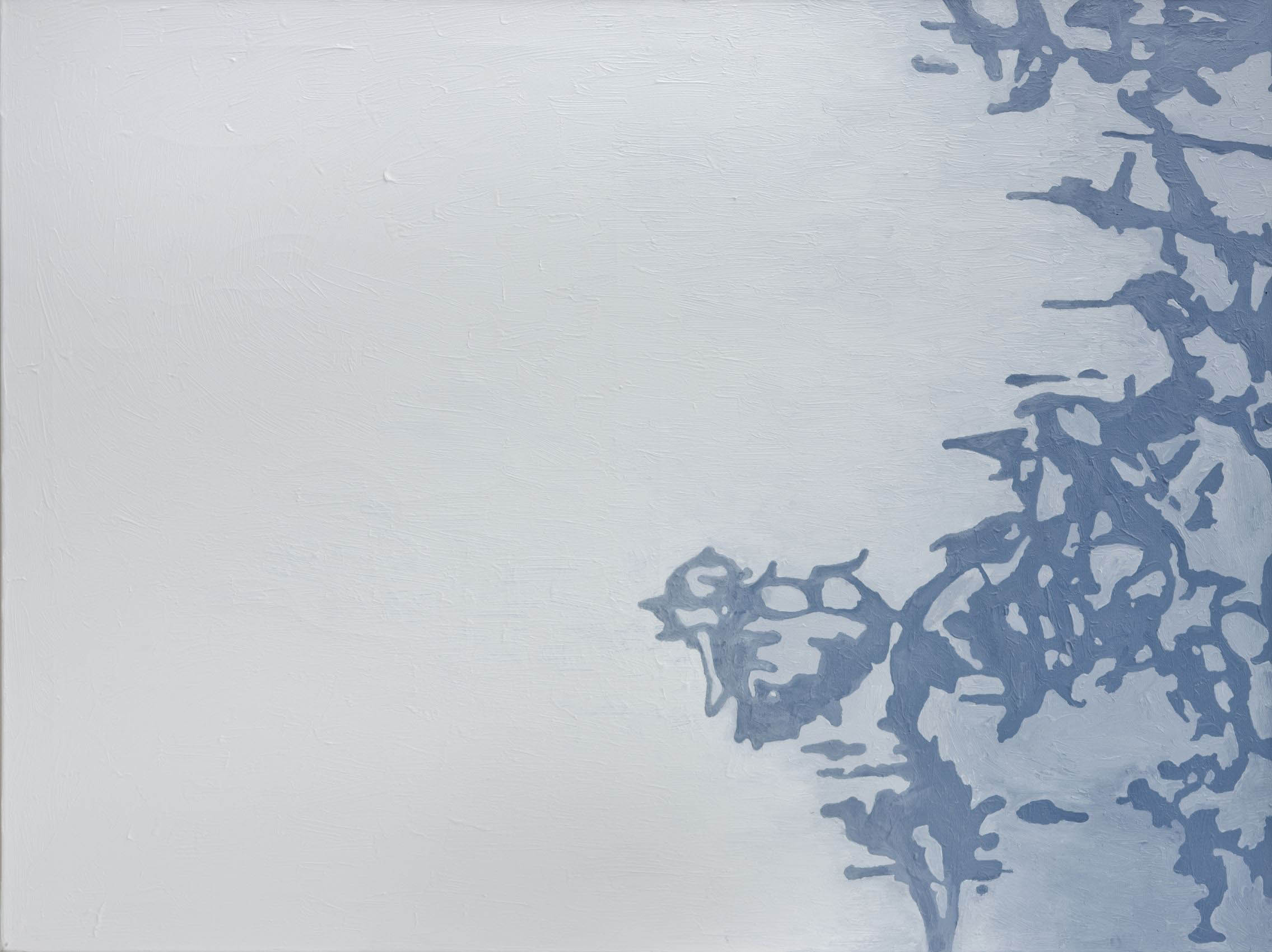Lichtsteiner Alois - Cristal de neige