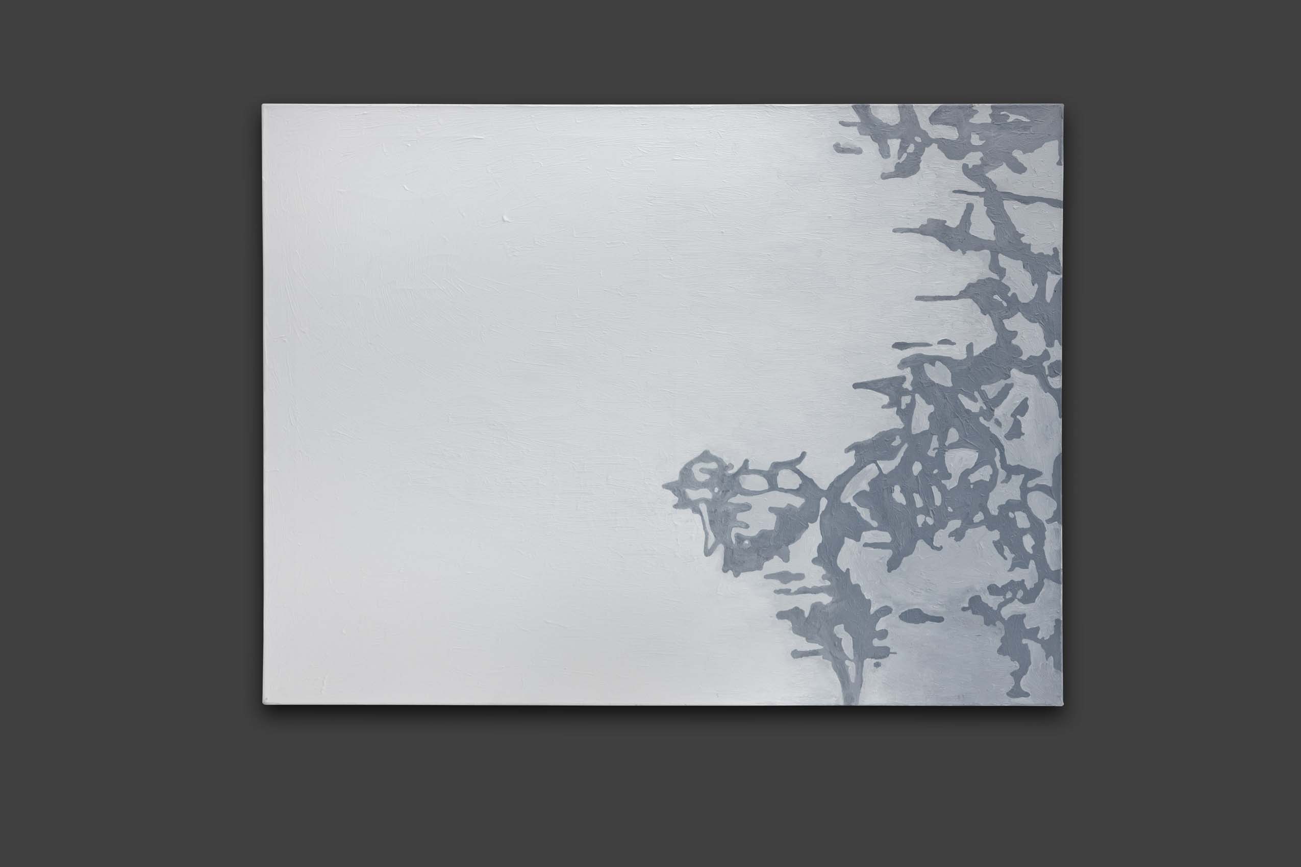 Lichtsteiner Alois - Cristal de neige - Encadré