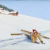 Pellegrini Carlo - Tomber dans la neige fraîche