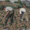 Burnand David Arnold - Arbeit in den Weinbergen