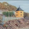 Menge Olivier - Travail dans les vignes, maison rose à St-Léonard