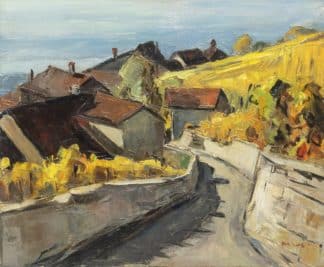 Mafli Walter - Grandvaux descente sur Cheneaux